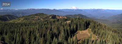 On Controlling Fire, New Lessons from a Deep Indigenous Past Forest in Kittitas County, Washington, in 1934 and 2014, after decades of fire suppression.