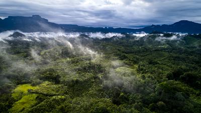 The forest lands of Ribangkadeng village in West Kalimantan, Indonesia.