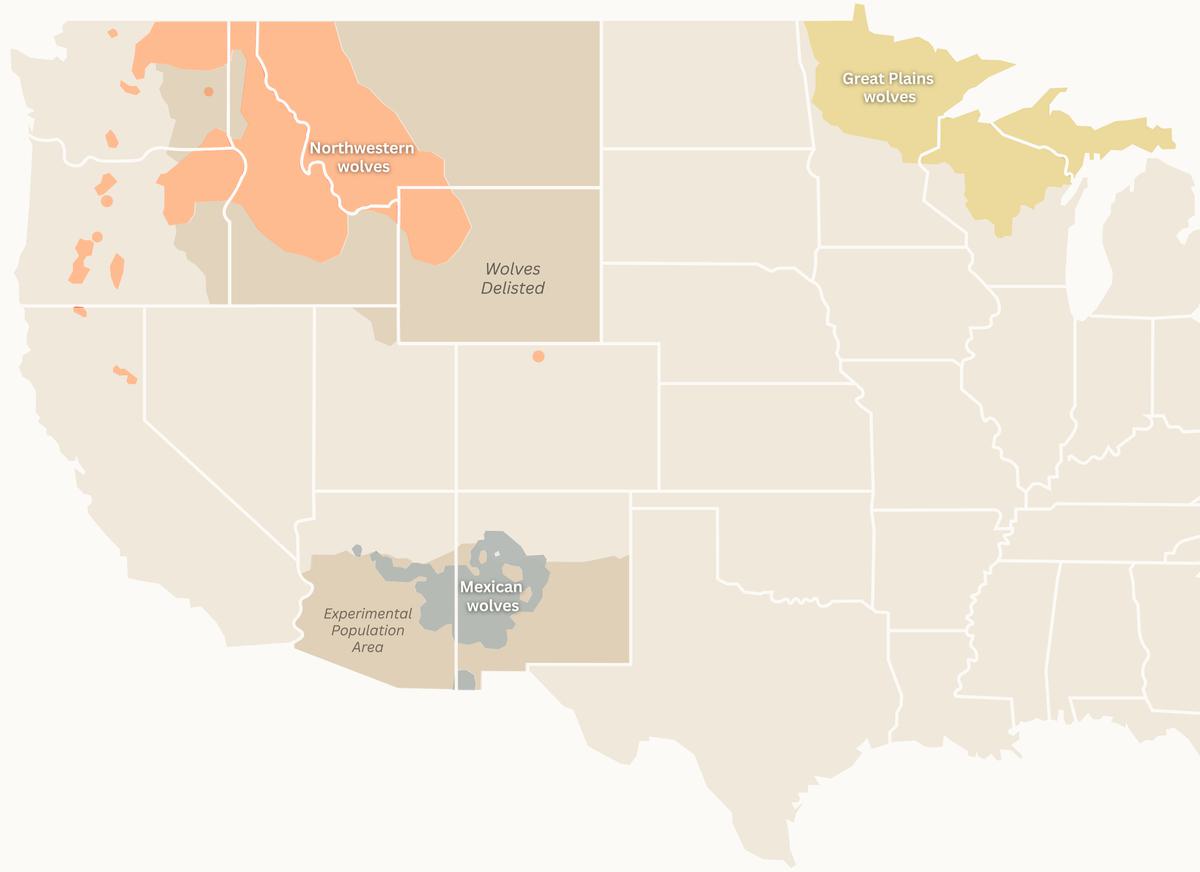Us Map Wolves Can America’s Wolves Survive an Onslaught of Political Attacks? - Yale E360