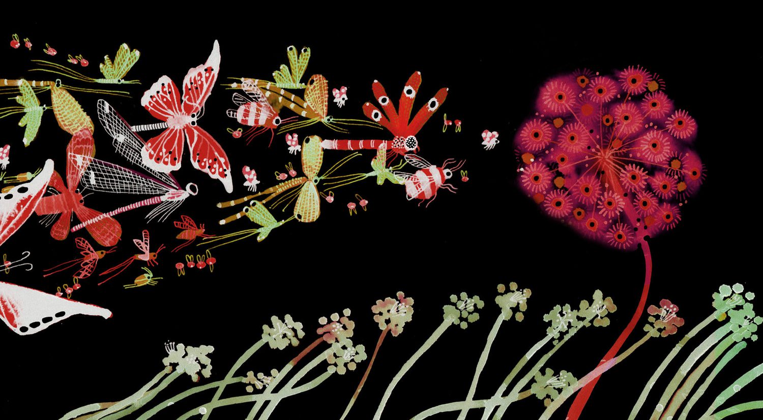 Yale Insect Graph How Non-Native Plants Are Contributing to a Global Insect Decline ...