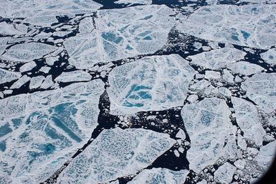 Scientists took sea ice cores to study plastic pollution levels in five regions of the Arctic.