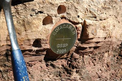 The Ediacaran Period, which ended some 540 million years ago, is marked by a gold spike in the Flinders Ranges of South Australia.