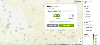 Geotagged bird sightings in northern India, mapped by the citizen science website eBird.