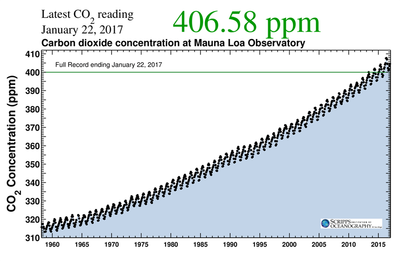 Concentrations of carbon dioxide in Earth’s atmosphere have risen rapidly since measurements began nearly 60 years ago, climbing from 316 parts per million (ppm) in 1958 to more than 400 ppm today. (Levels a few centuries ago held steady at about 280 ppm.)